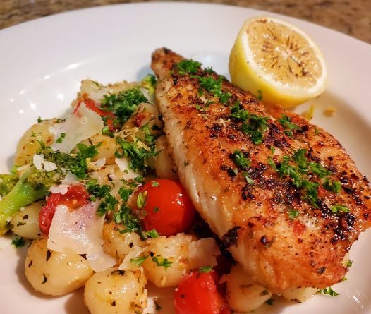 Plated Pan Seared Branzini and Gnocchi with vibrant cherry tomatoes