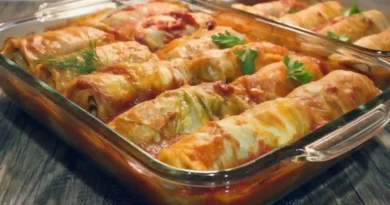 Plate of hot and savory Old Fashioned Stuffed Cabbage Rolls